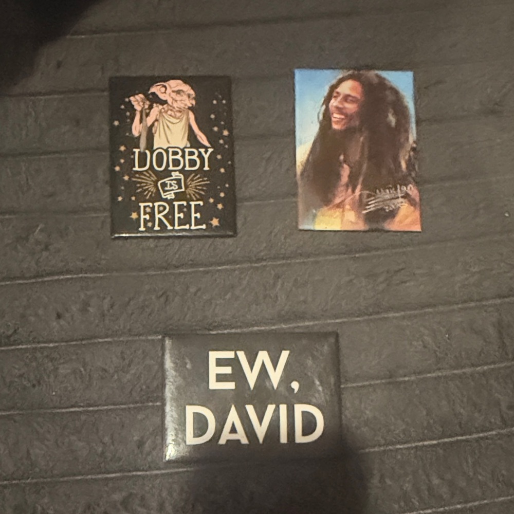 Set of three fridge magnets - schitts creek, Harry Potter, & Bob Marley